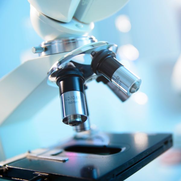 Veterinary laboratory microscope