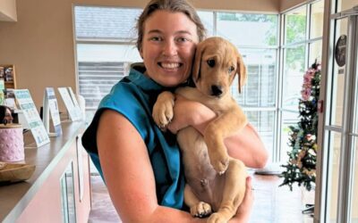 Bocage Animal Hospital veterinarian holding a puppy