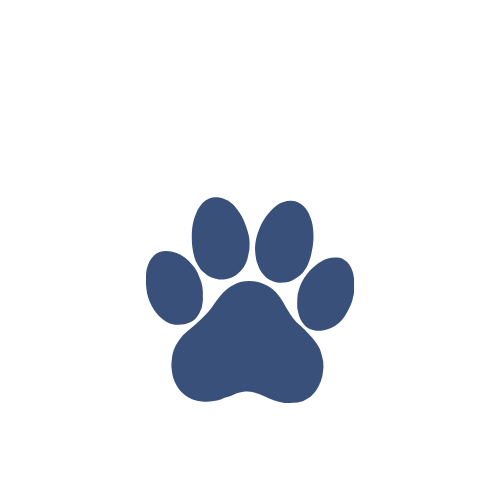 Pet Boarding