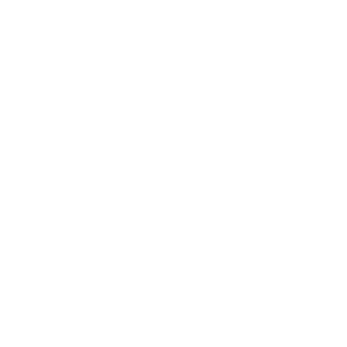Pet Surgery Icon
